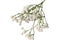 Artificial Baby Breath Flowers - White